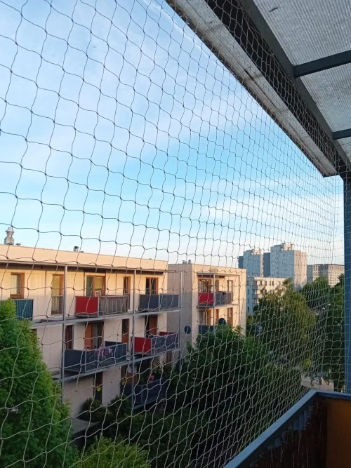 Siatki przeciw gołębiom Kraków